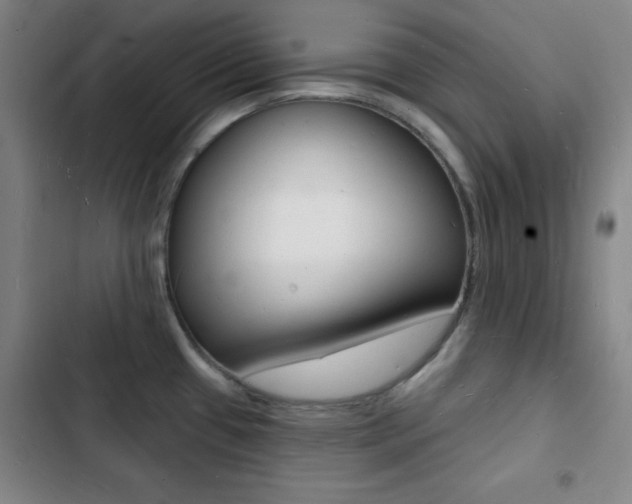 X0000103241433200808281022