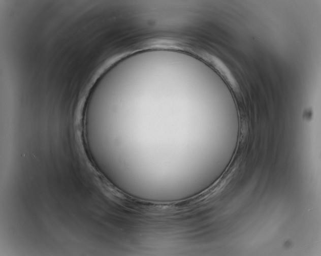 X0000103241435200808281022