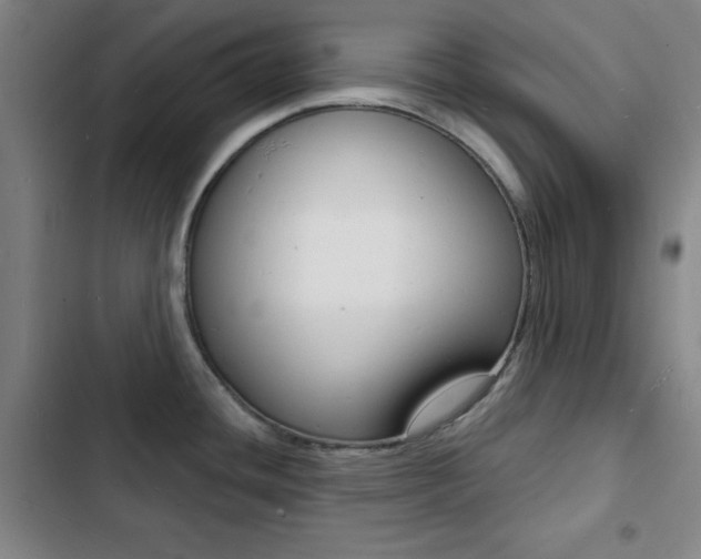 X0000103241436200808281022