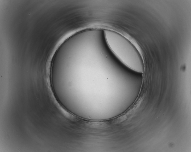 X0000103241437200808281022