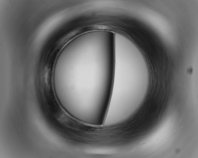 X0000103241438200808281022