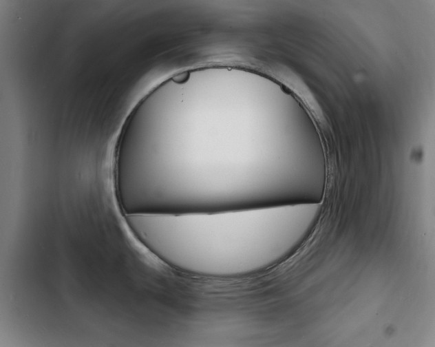 X0000103241439200808281022