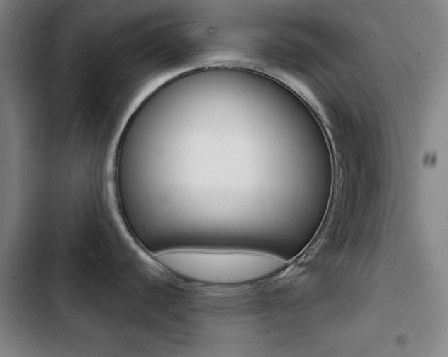 X0000103241440200808281022