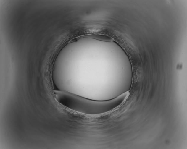 X0000103241441200808281022