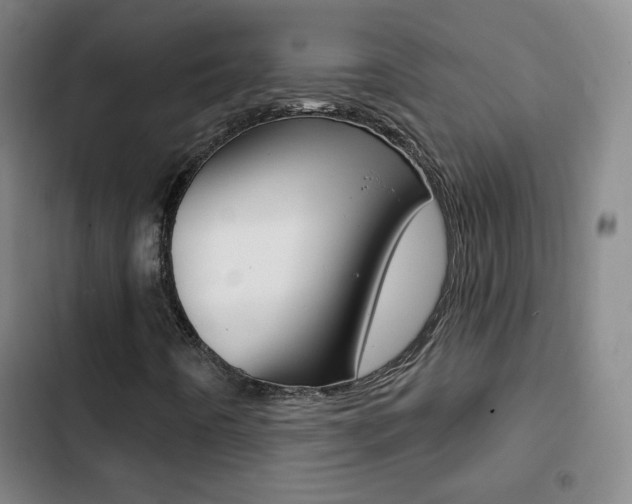X0000103241442200808281022
