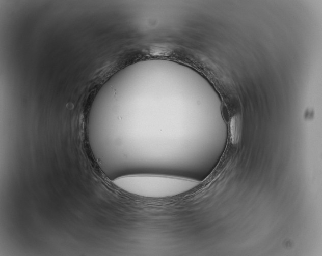 X0000103241443200808281022