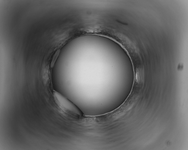 X0000103241444200808281022