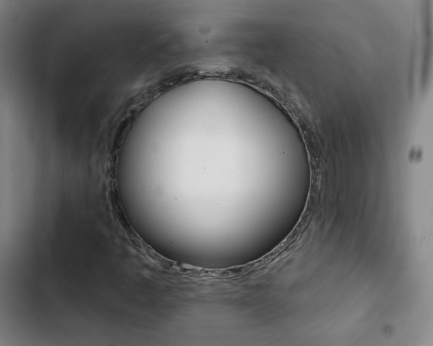 X0000103241445200808281022