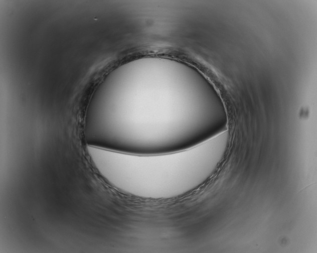 X0000103241447200808281022