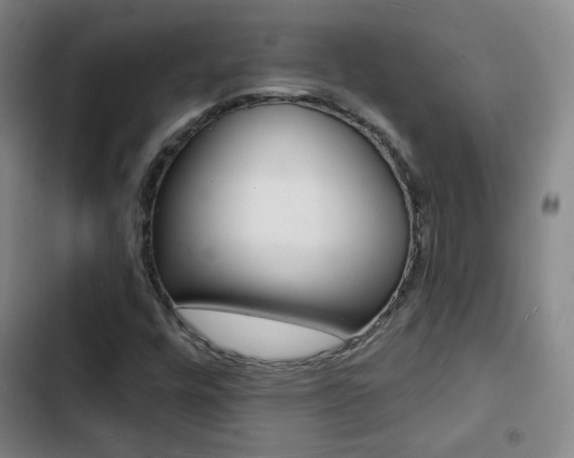 X0000103241448200808281022