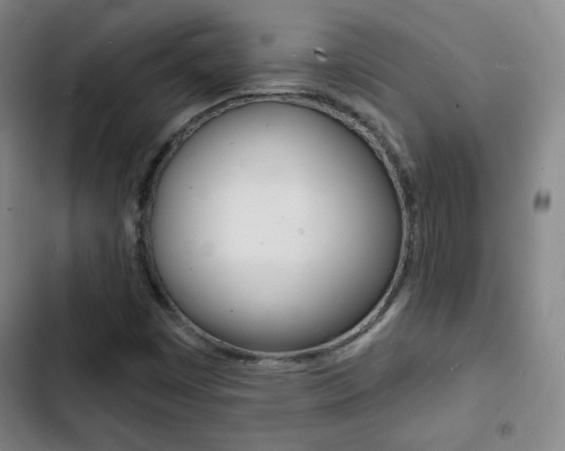 X0000103241449200808281022