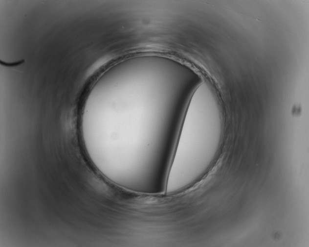 X0000103241450200808281022