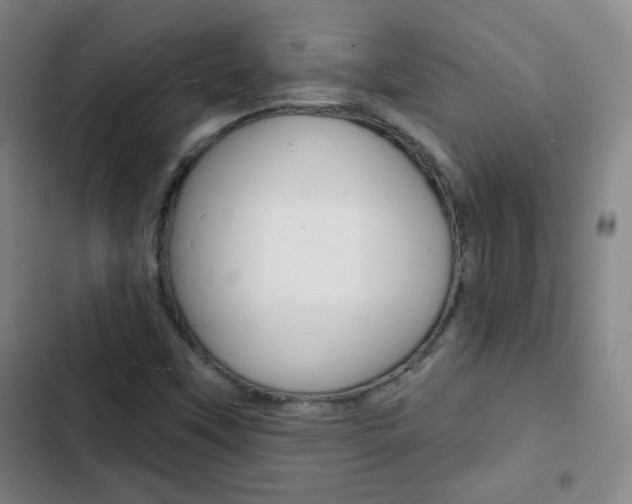 X0000103241451200808281022