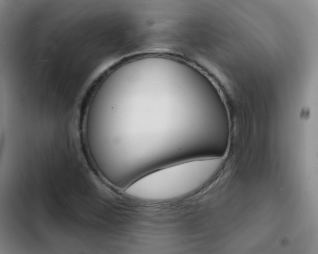 X0000103241452200808281022
