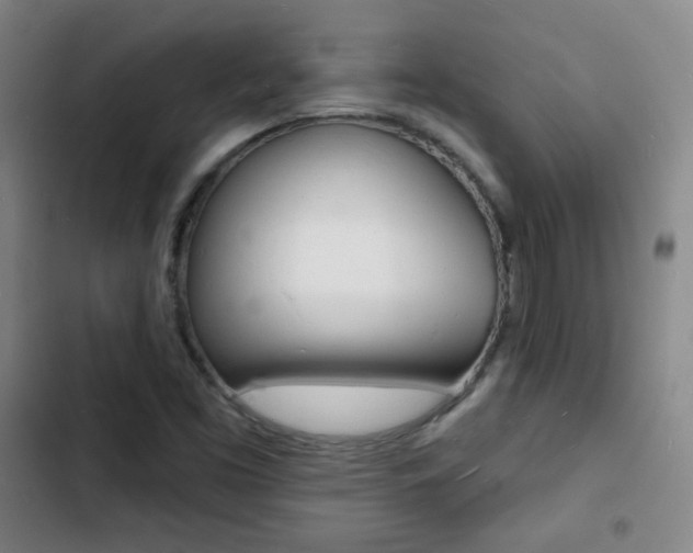 X0000103241453200808281022
