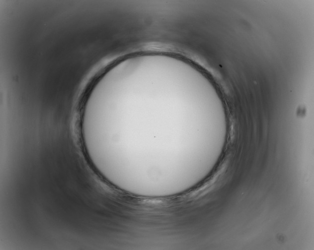 X0000103241454200808281022