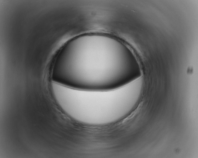 X0000103241455200808281022
