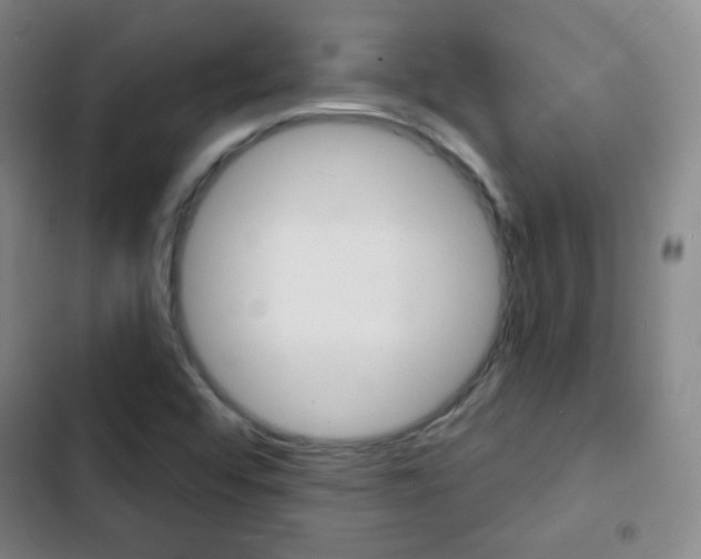 X0000103241456200808281022