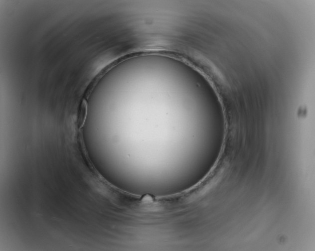 X0000103241457200808281022