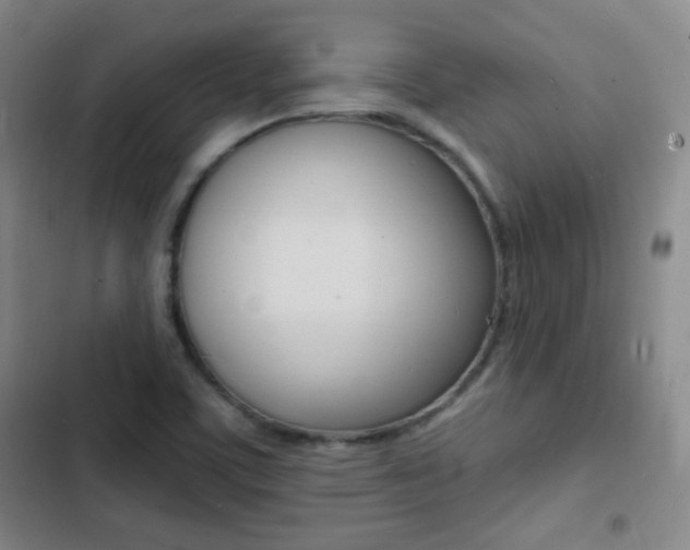 X0000103241459200808281022