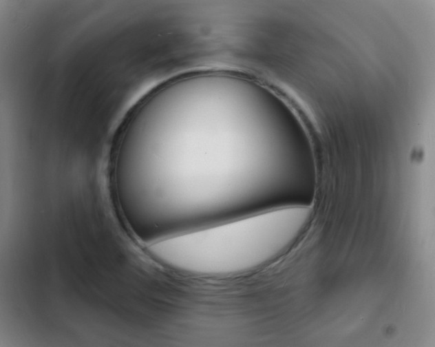 X0000103241460200808281022