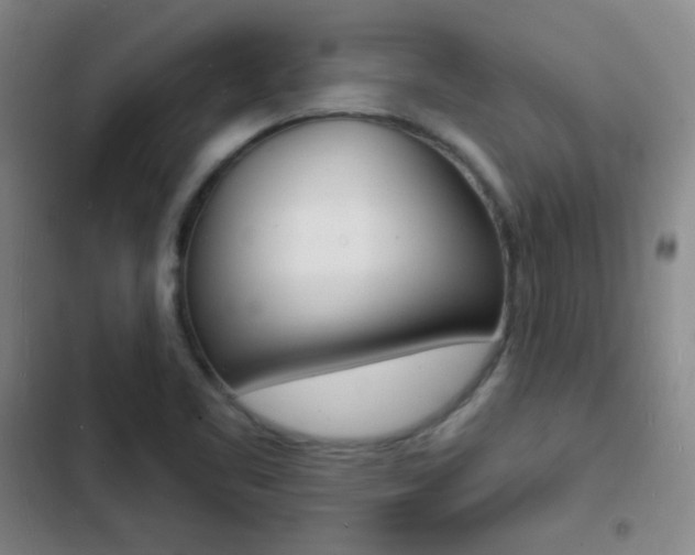 X0000103241461200808281021