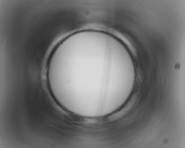 X0000103241462200808281021