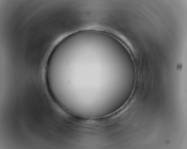 X0000103241463200808281021