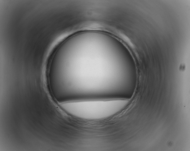 X0000103241464200808281021