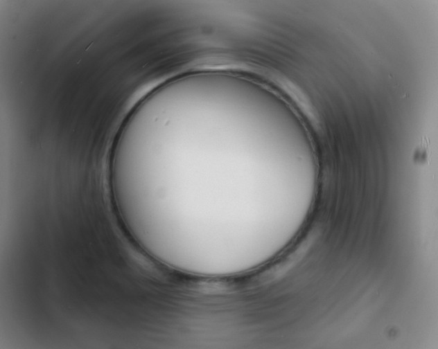 X0000103241465200808281021