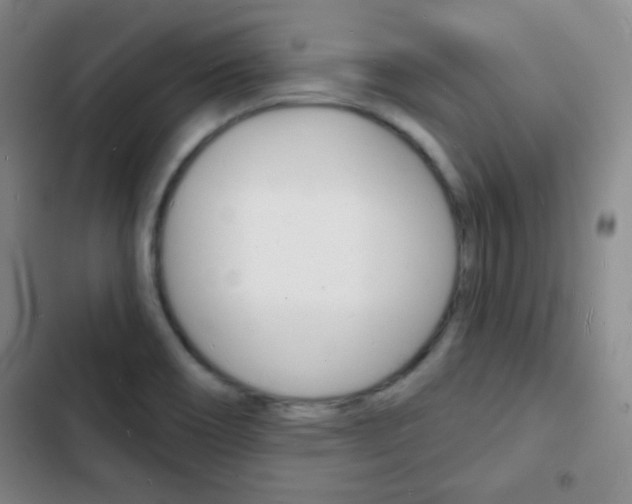 X0000103241466200808281021