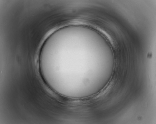 X0000103241467200808281021