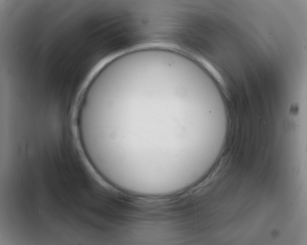 X0000103241468200808281021