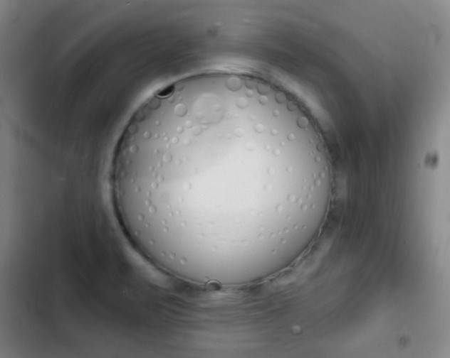 X0000103241471200808281021