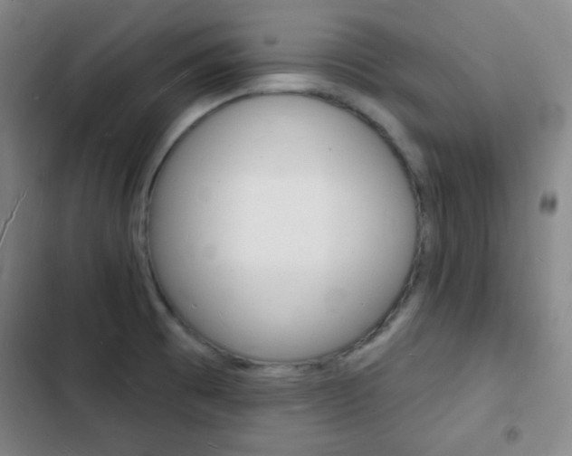 X0000103241473200808281021
