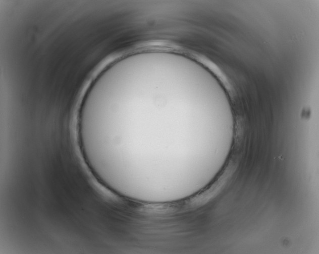 X0000103241474200808281021