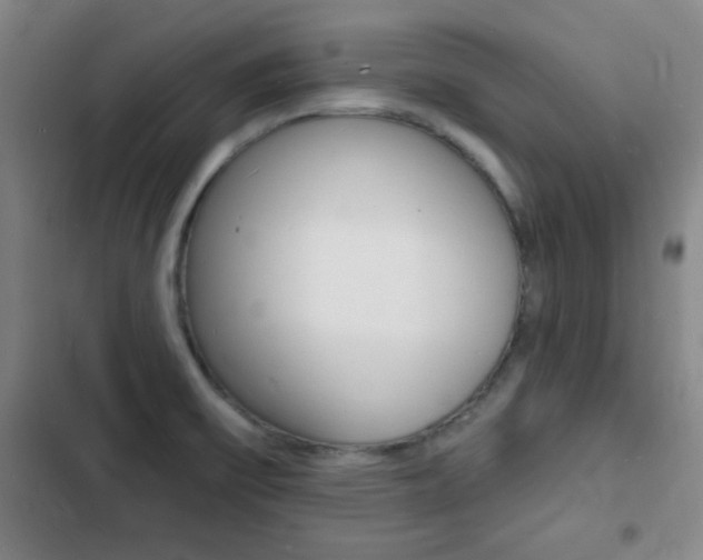 X0000103241475200808281021