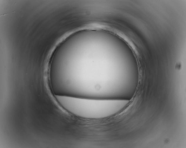 X0000103241477200808281021
