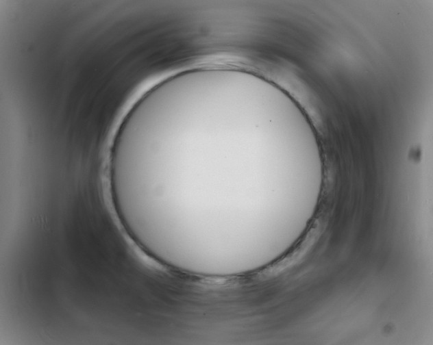 X0000103241478200808281021