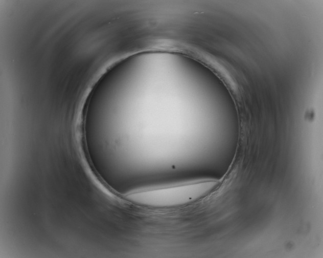 X0000103241479200808281021