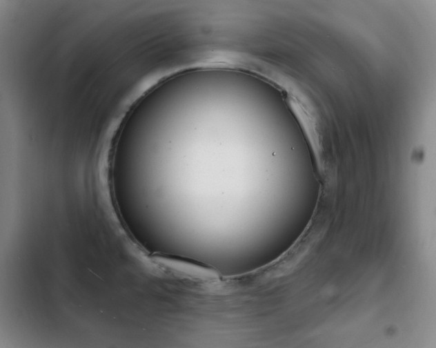 X0000103241480200808281021