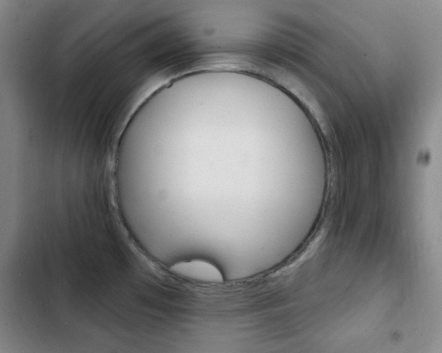 X0000103241481200808281021