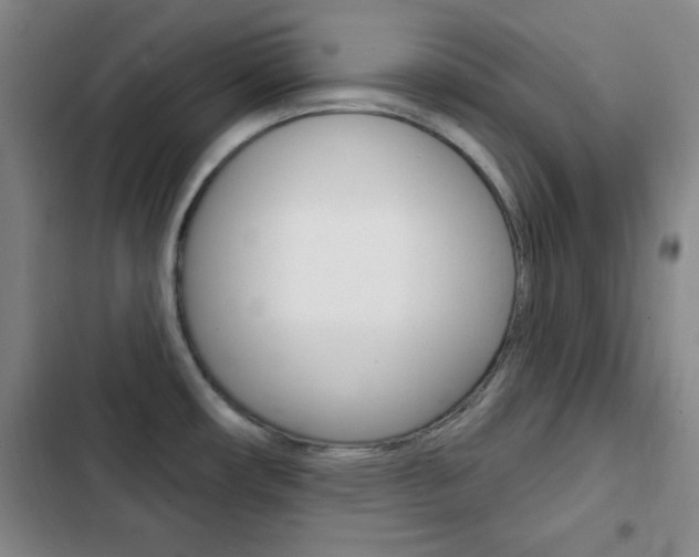 X0000103241482200808281021