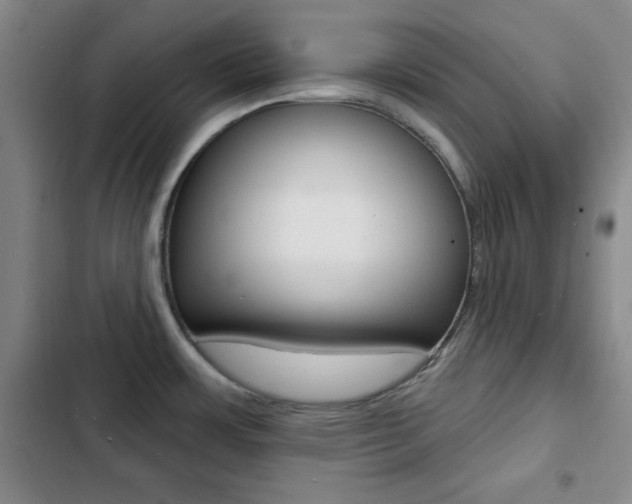 X0000103241483200808281021