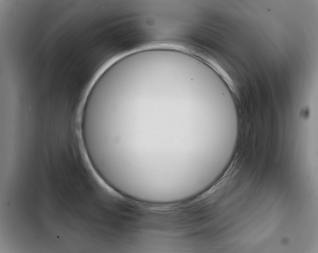 X0000103241484200808281021
