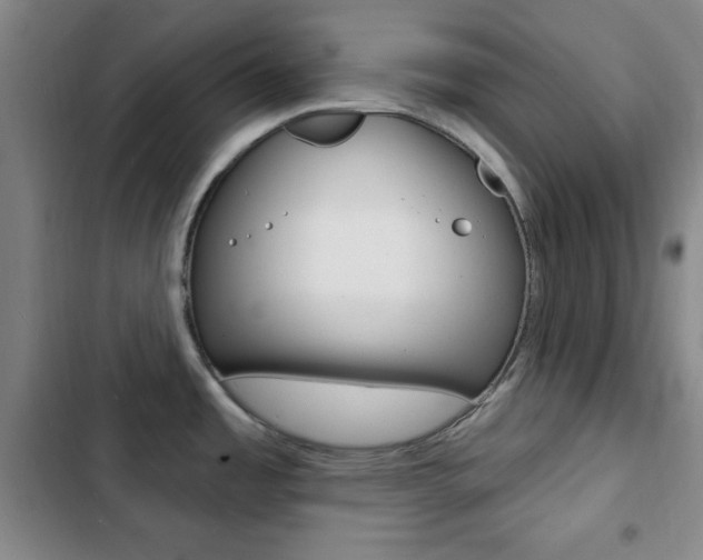 X0000103241485200808281021
