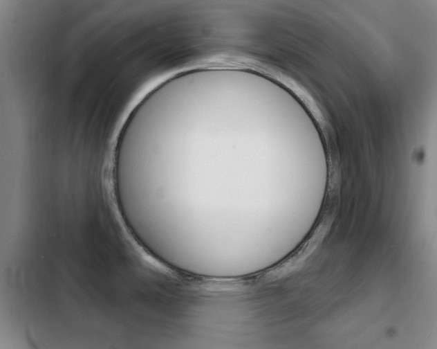 X0000103241486200808281021