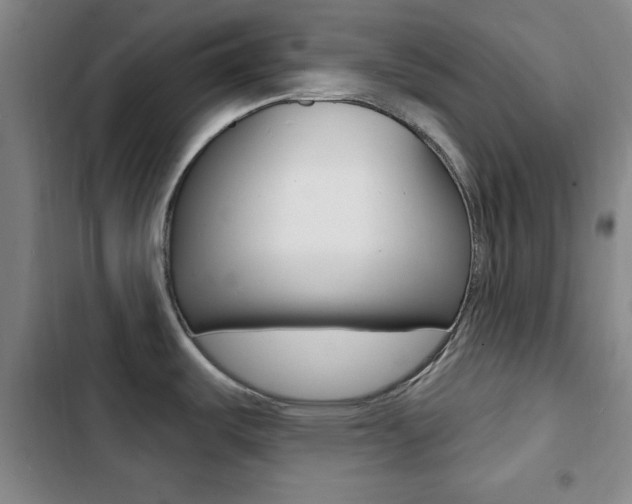 X0000103241487200808281021