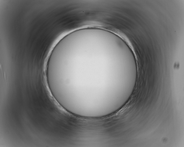 X0000103241488200808281021