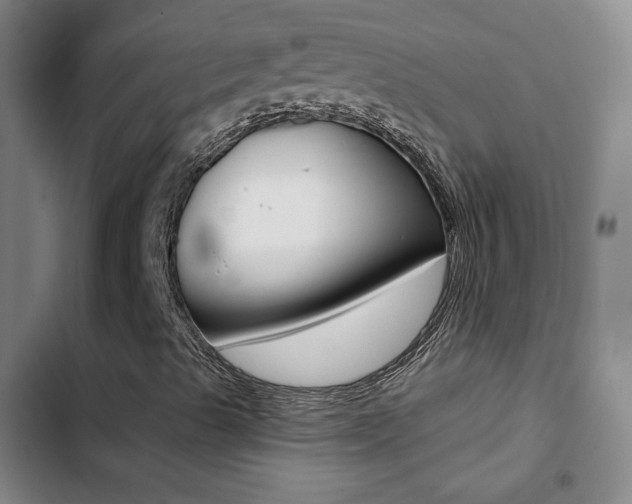 X0000103241489200808281020